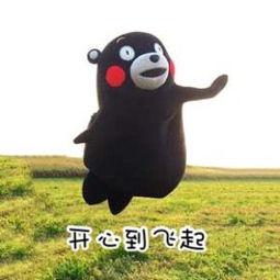 图片5.jpg