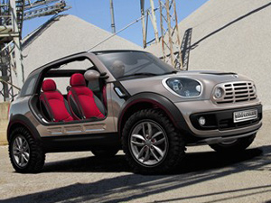 Countryman2013款 COOPER S All 4 滑雪版 